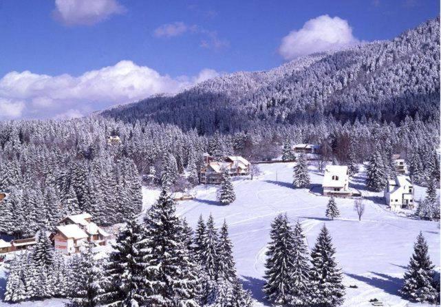 Poiana Brasov, Aparthotel 609,Alpin Exterior photo